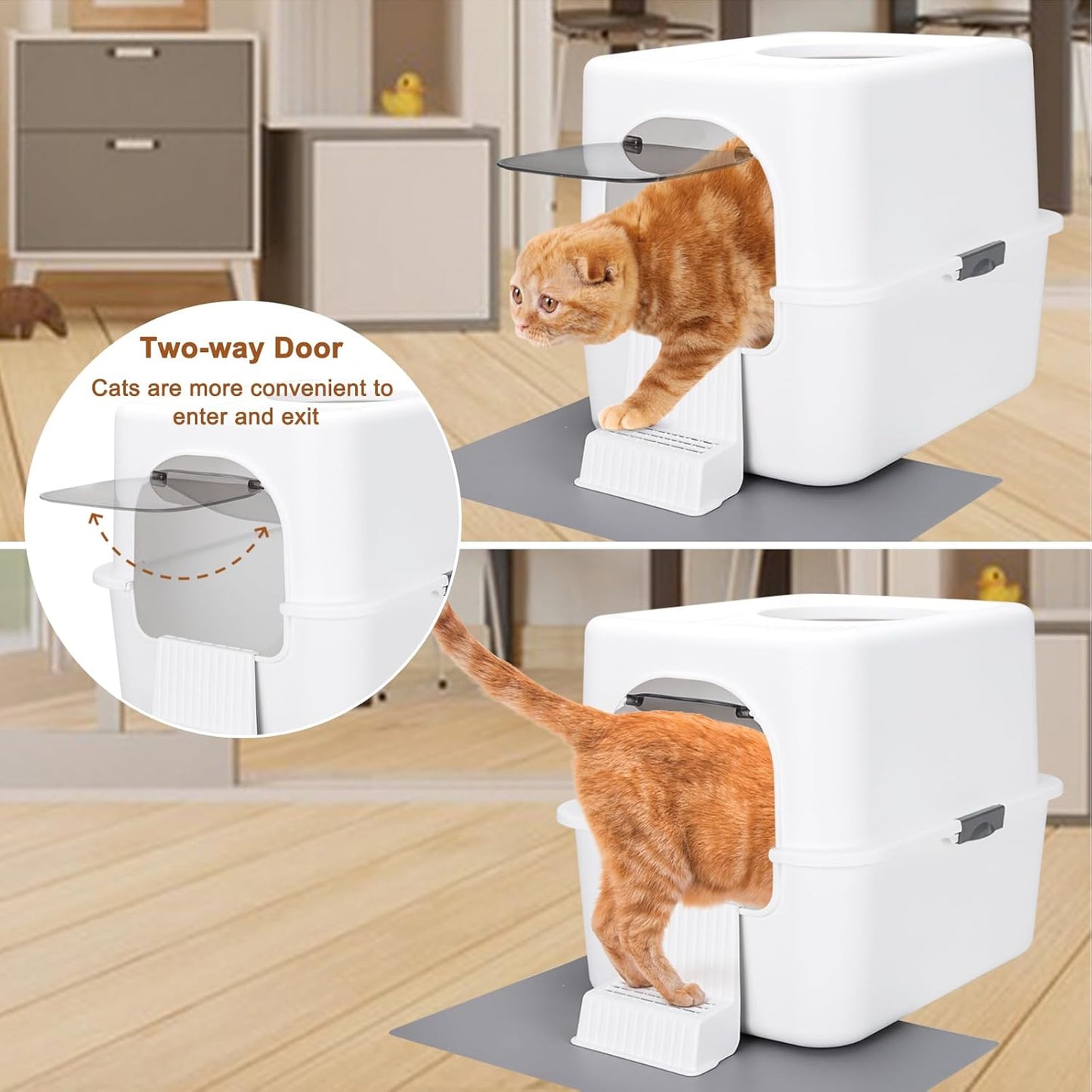 Cat Litter Box with Lid, Increased Entrance Height, Top Entry Enclosed Litter Box with Door, Easy to Install, Suitable for Cats up to 7.5 Lbs (White,Small)
