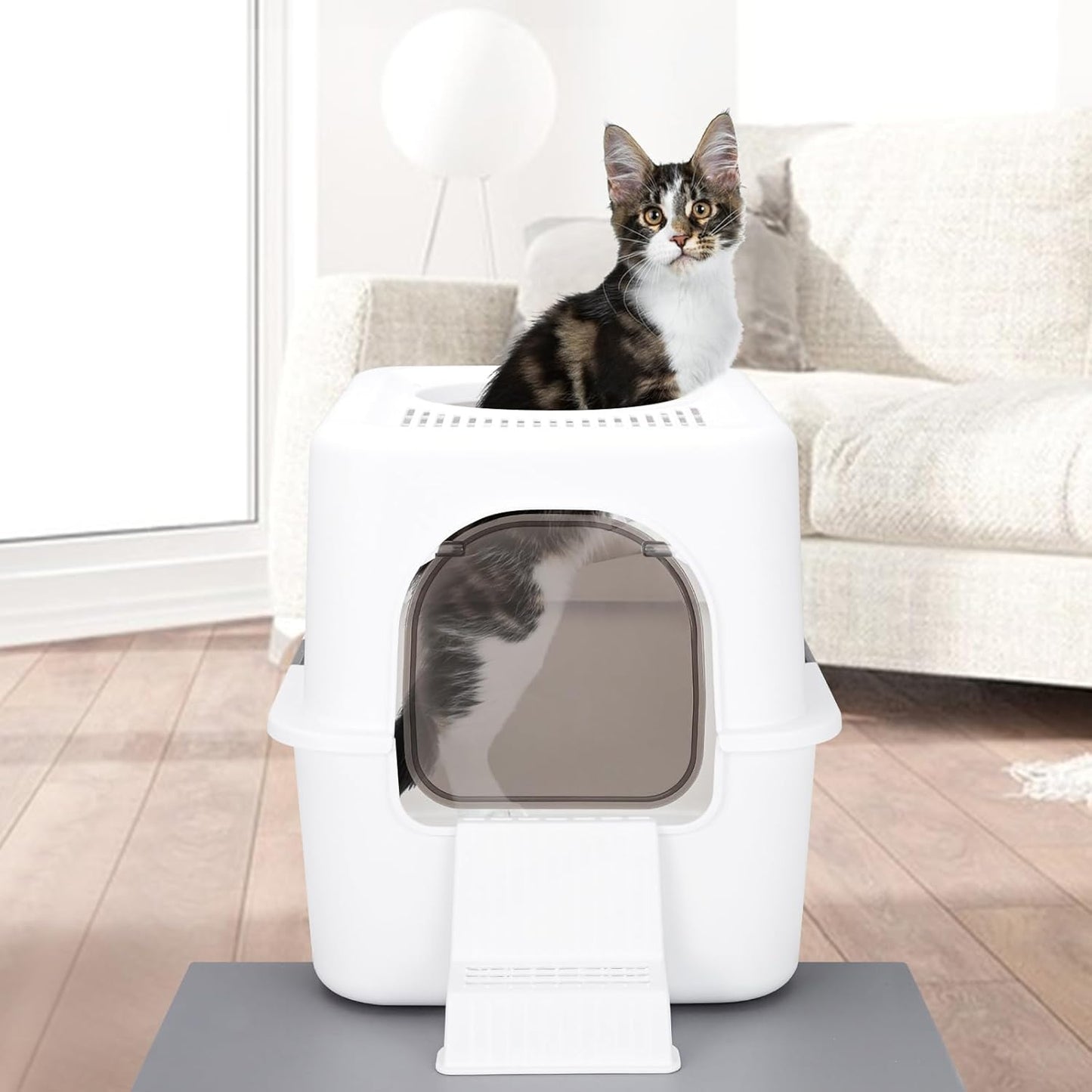 Cat Litter Box with Lid, Increased Entrance Height, Top Entry Enclosed Litter Box with Door, Easy to Install, Suitable for Cats up to 7.5 Lbs (White,Small)