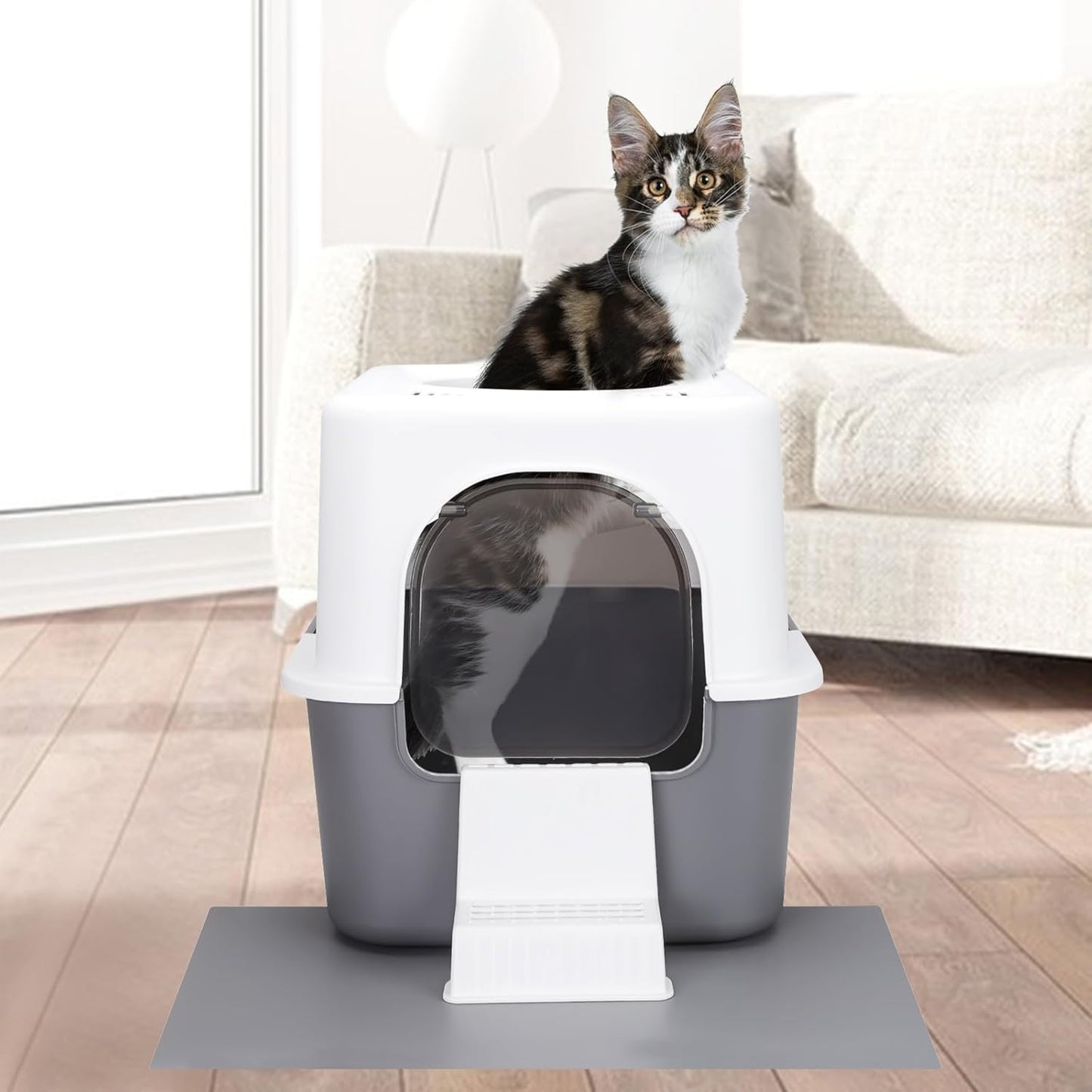 Cat Litter Box with Lid, Increased Entrance Height, Top Entry Enclosed Litter Box with Door, Easy to Install, Suitable for Cats up to 7.5 Lbs (Gray,Small)
