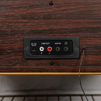 Rhapsody 7-In-1 Decorative Record Player