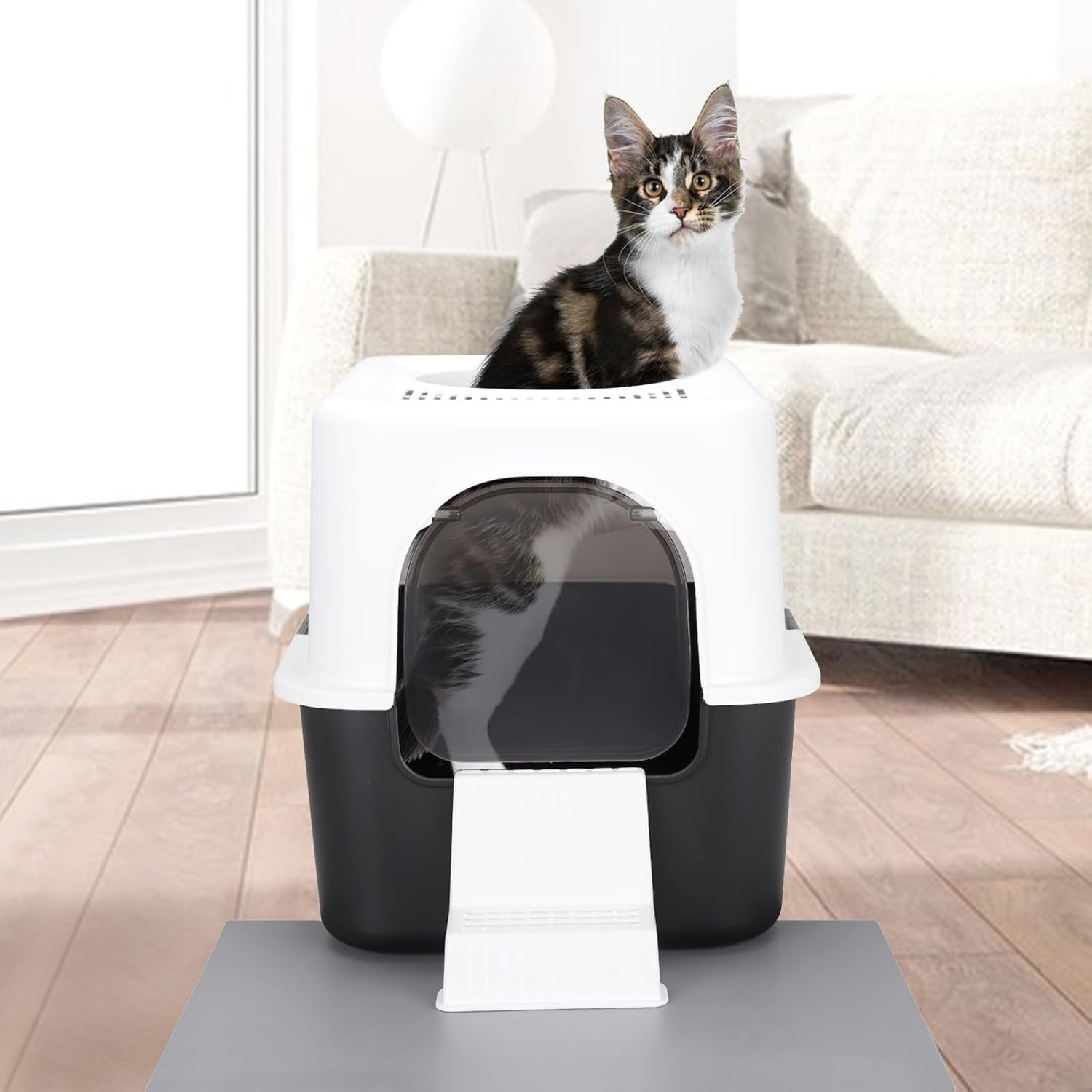 Cat Litter Box with Lid, Increased Entrance Height, Top Entry Enclosed Litter Box with Door, Easy to Install, Suitable for Cats up to 7.5 Lbs (Black,Small)