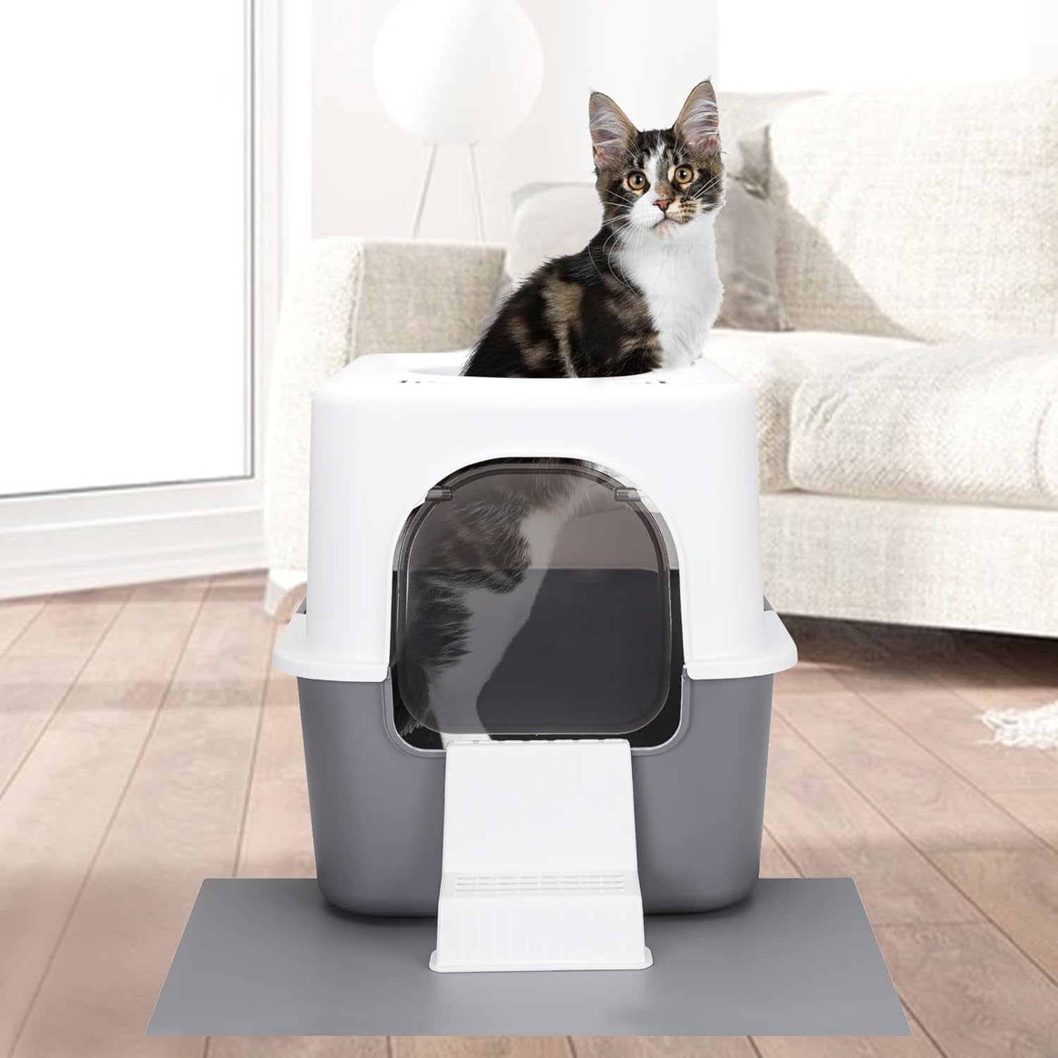 Cat Litter Box with Lid, Increased Entrance Height, Top Entry Enclosed Litter Box with Door, Easy to Install, Suitable for Cats up to 7.5 Lbs (Gray,Small)